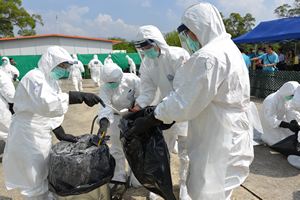 Avian influenza drill